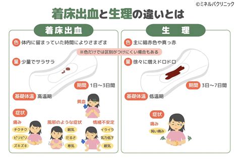 【生理5日目】月経の正しい知識と出血がある期間中。